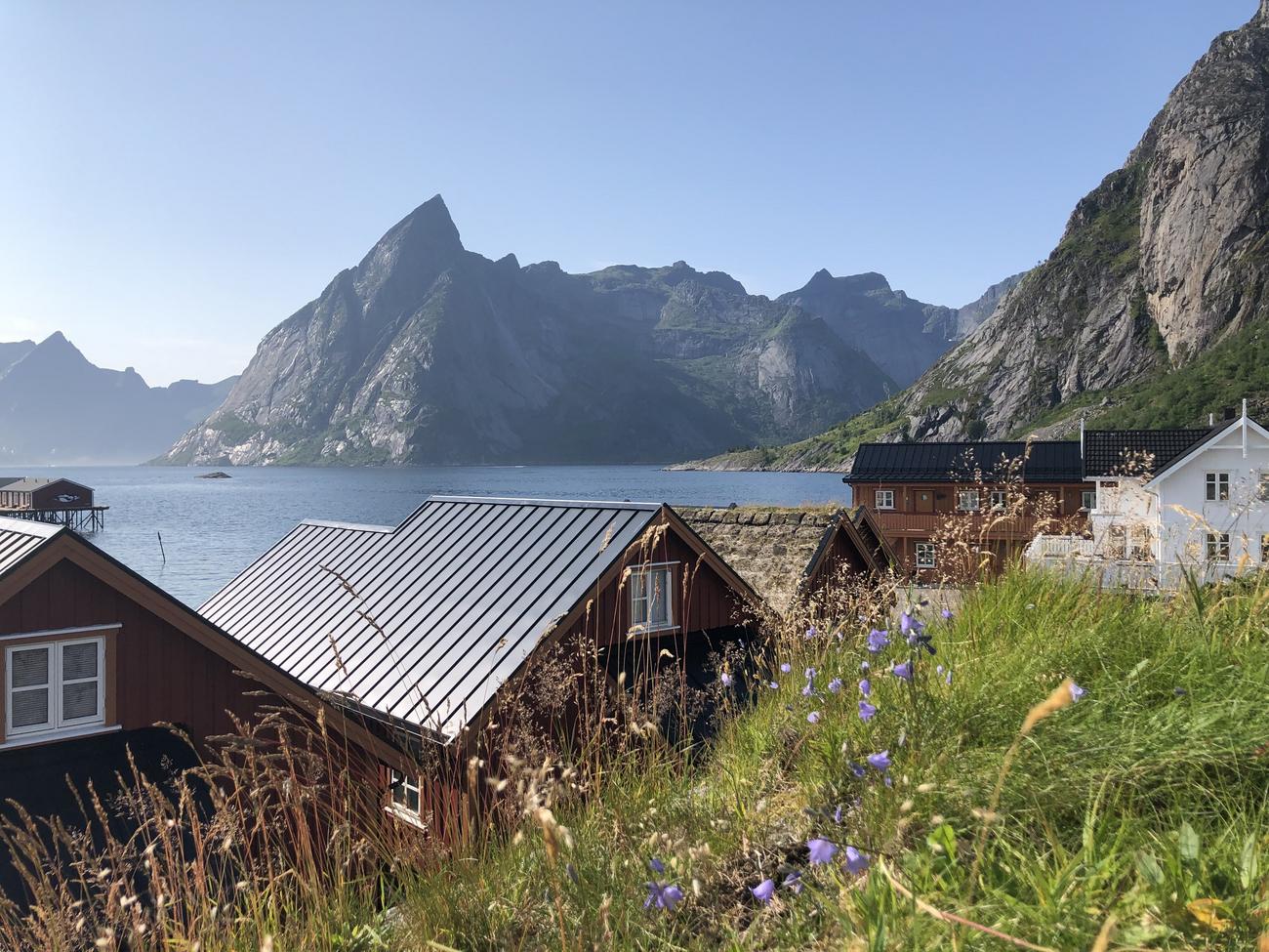 Tre r&oslash;de rorbuer, et oransje leilighetsbygg og et hvit hus en vakker sommerdag med gr&oslash;nt gress og bl&aring; blomster i forkant. Utsikt over Reinefjorden og fjellet Olstind.