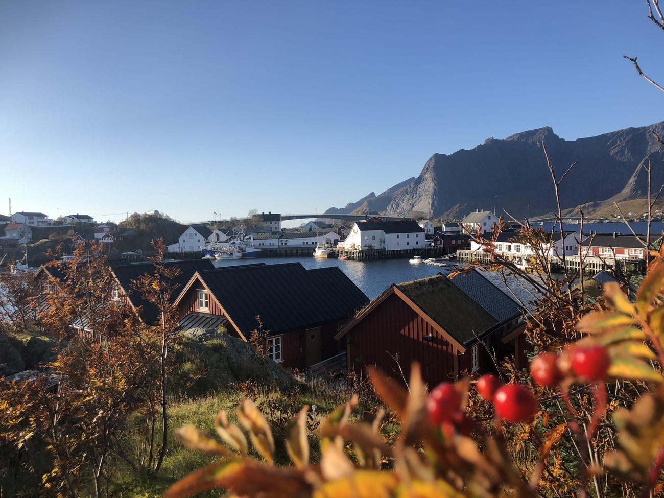 To r&oslash;de rorbuer en solrik h&oslash;stdag. Utsikt over Hamn&oslash;y havn og Reinebringen.